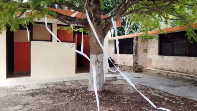 El director de recinto descubrió las manchas en las paredes y los destrozos en las macetas