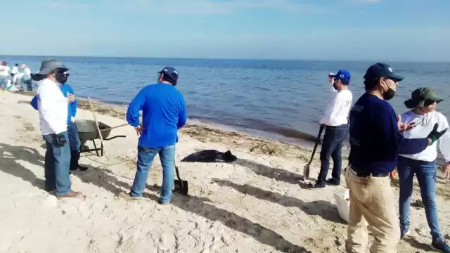 En cada hueco se depositó entre 20 y 30 kilos de especies entre ellas escama y molusco. 