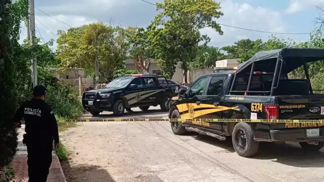 Hecho que causó gran curiosidad entre los vecinos del fraccionamiento de maestros