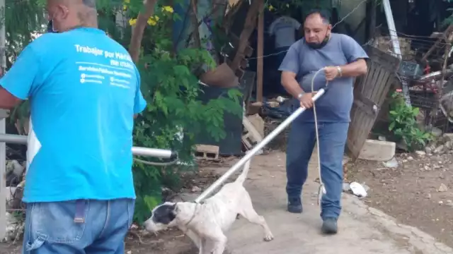 Foto: Fernando Poo Hurtado