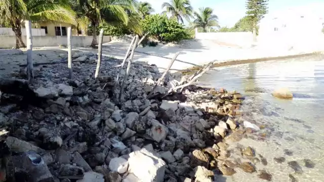 Vacacionistas y locales se instalan en palapas particulares o acuden a otra zona de la costa