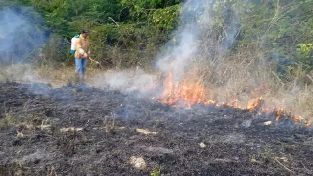 Los cuerpos de emergencia empiezan a ser rebasados por los conatos de incendios