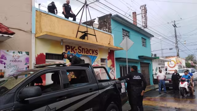 El perro se encontraba en el techo durante las fuertes lluvias de este domingo