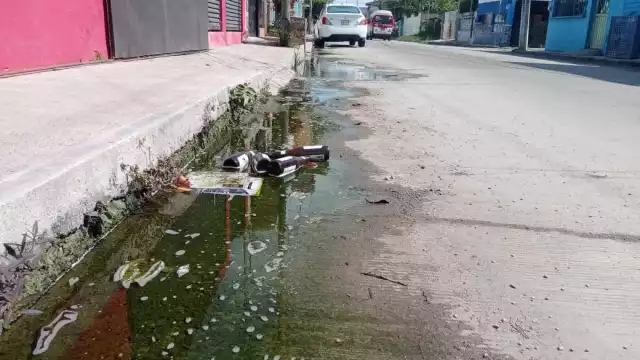 FOTOS: Agustín Ferrer