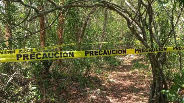 El cuerpo fue encontrado por su padre cuando fue a buscarlo para almorzar
