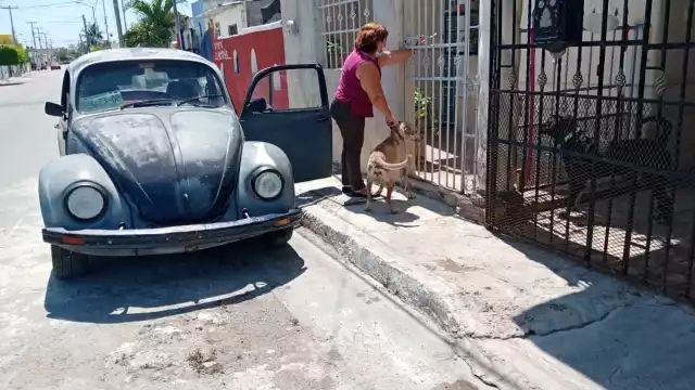 La mujer metió al perro a su casa, para luego llegar al hombre al hospital