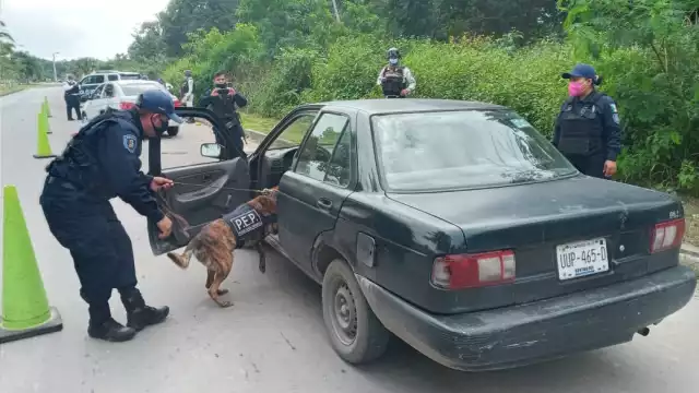 El operativo se inició esta mañana en Chetumal.