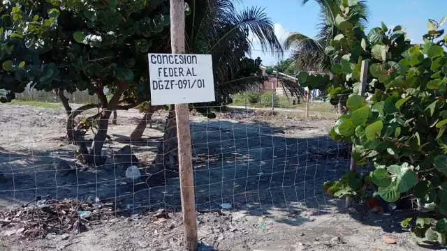 Foto: Fernando Kantún