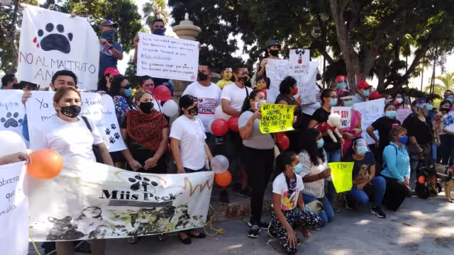 Foto: Karla Regina Aguilar