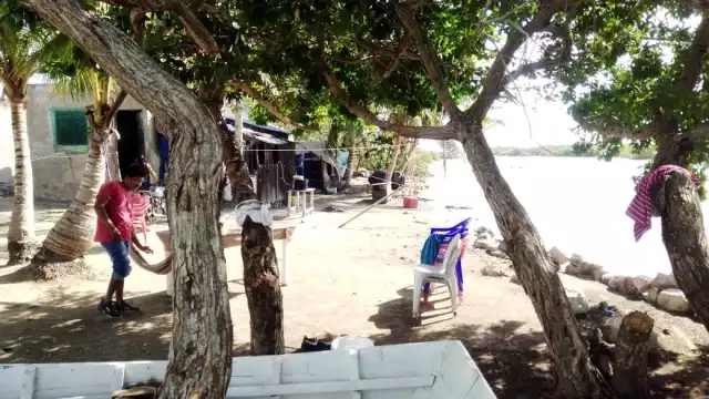 Los animales no llegan hasta donde se encuentran las personas ya que el ruido que se genera por las actividades propias de las casas no les gusta, afirman