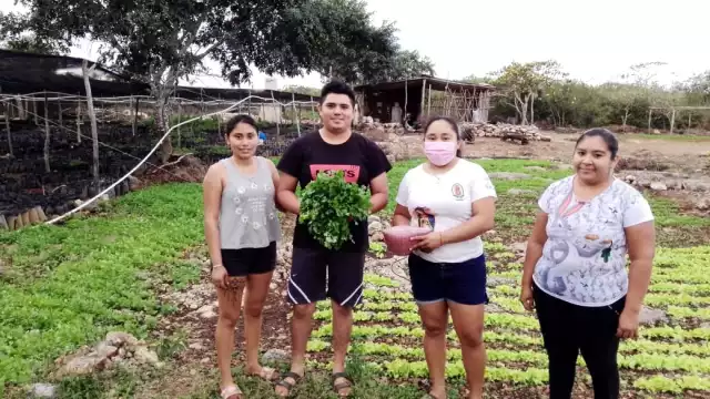 Linda Pech, Arely Rodríguez, Yussy Catzín y Moisés Collí pertenecen al grupo de becarios Xa`Aybej (Orilla de Camino)