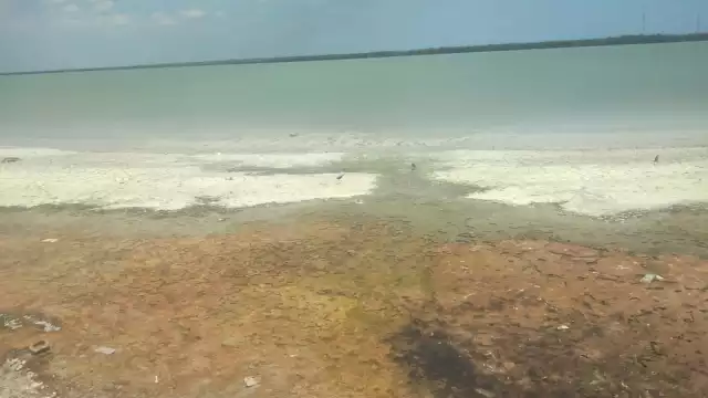 Vecinos de la zona se quejan de los malos olores que provienen del Malecón