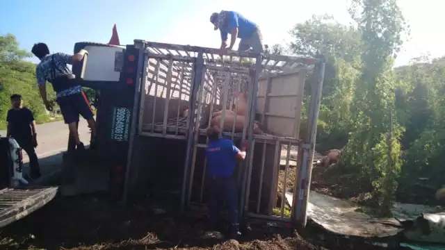 FOTO: Fernando Hurtado