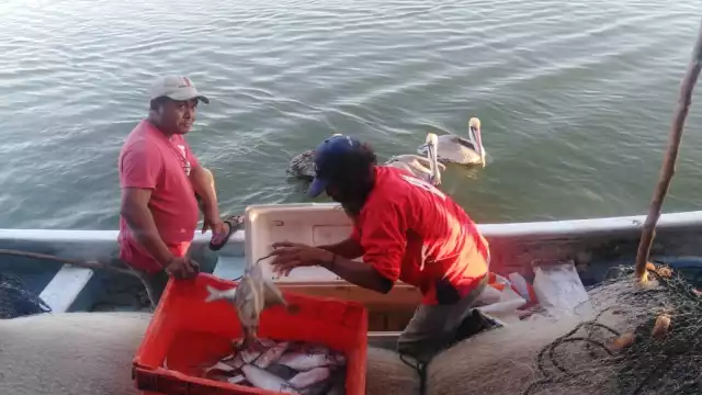 La veda entrará en vigor este primer día de febrero, a partir de las 00:00 horas, y concluirá el 31 de marzo a las 24:00 horas