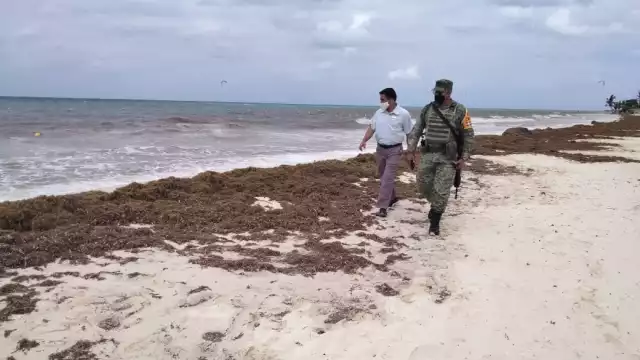 El producto asegurado fue puesto a disposición de la mesa especializada en delitos contra la salud en Playa del Carmen