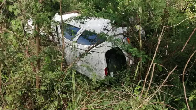 FOTO: Alejandro Colli