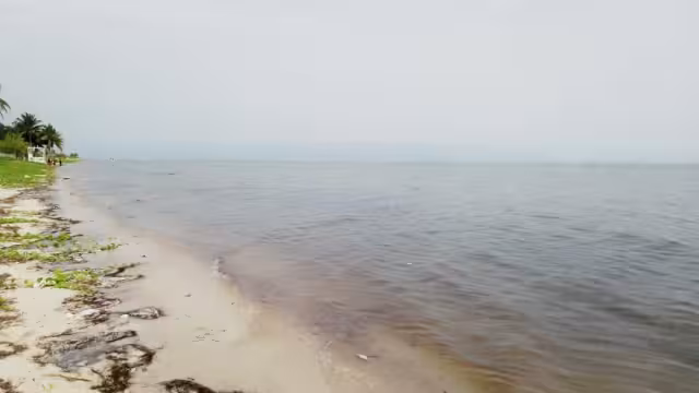 La tonalidad rojiza en la playa de San Crisanto continúa