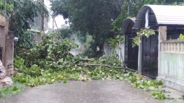 La CFE aseguró que todos los reportes de fallas eléctricas serían atendidos