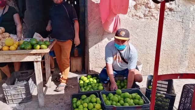 La dura crisis que se está viviendo con el limón ha causado que en municipios de Yucatán se levanten en armas para proteger sus campos