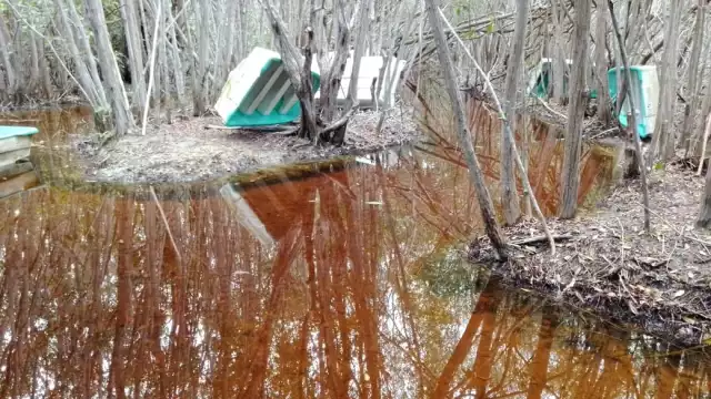 El lugareño precisa que mientras los Frentes Fríos continúen entrando, posiblemente pueda tardar algunos días más el fenómeno natural que generará mayor atracción turística