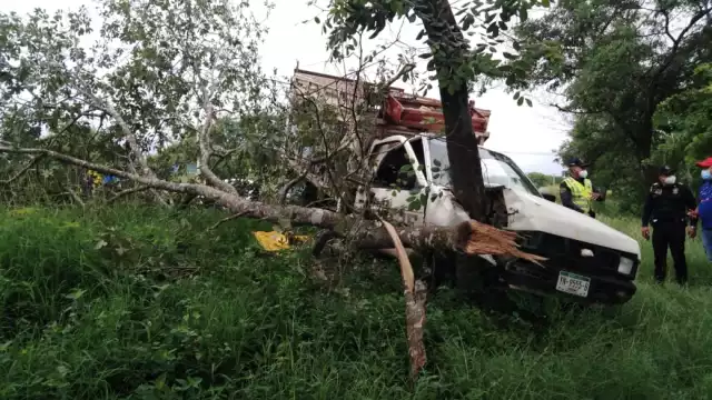 Foto: Fernando Poo Hurtado
