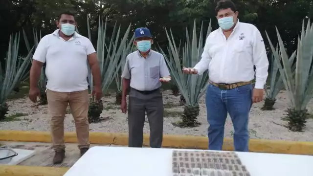 Varios productores han asegurado que la calidad de las abejas reina que les otorgan a través del programa es buena