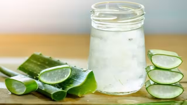 El aloe vera tiene entre sus componentes activos las vitaminas, aminoácidos, minerales