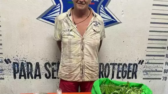 Le realizaron una inspección de seguridad, encontrando entre sus pertenencias una bolsa grande con plantas en su interior