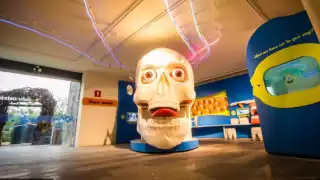 Papalote Museo del Niño en peligro de desaparecer por COVID-19