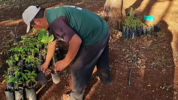 En el municipio los productores han sido participativos ante el proyecto presentado