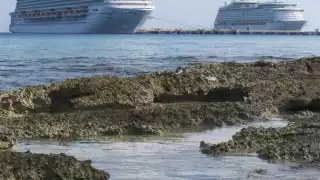 Más de dos mil 500 pasajeros del crucero 'Carnival Vista' llegan a Cozumel