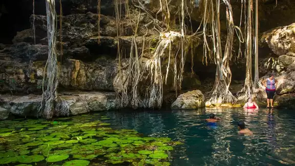 El Cenote X-Batún está en un hermoso complejo. Foto: Especial