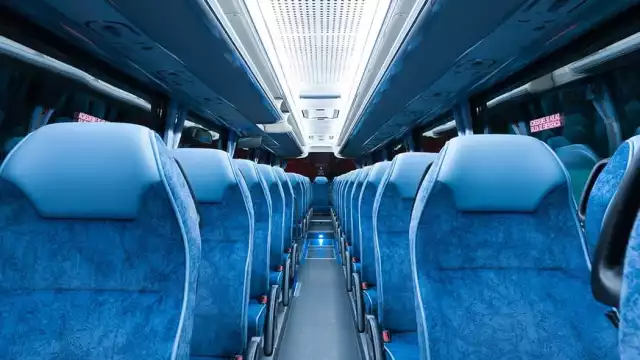 Se plantea que la mejor opción para evitar mayores lesiones es estar sentado correctamente y usando el cinturón de seguridad. 