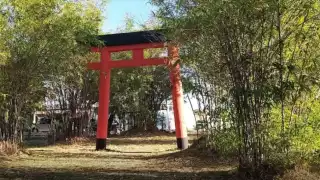 Los arcos torii son parte del atractivo que se puede apreciar en el Parque japonés