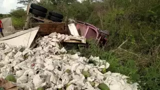 Tráiler con toneladas de papayas se vuelca en Hopelchén