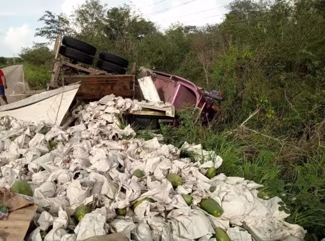 Tráiler con toneladas de papayas se vuelca en Hopelchén