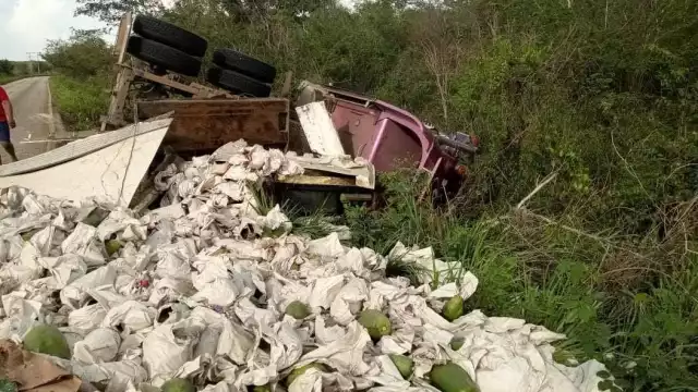 Tráiler con toneladas de papayas se vuelca en Hopelchén