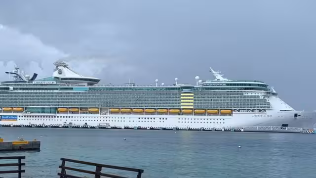 Trabajadores del sector turístico independientes, lograron activar su economía tanto en restaurantes como en tours