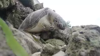 Foto: Lucio Blanco González