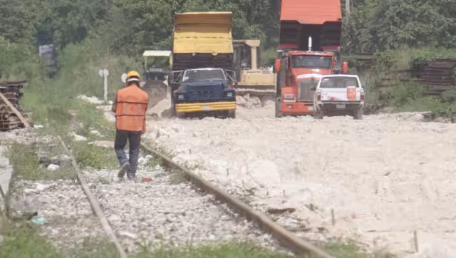 Se reforzarán 15 áreas naturales protegidas y desarrollaremos planes sustentables con visión social. Foto: Lucio Blanco