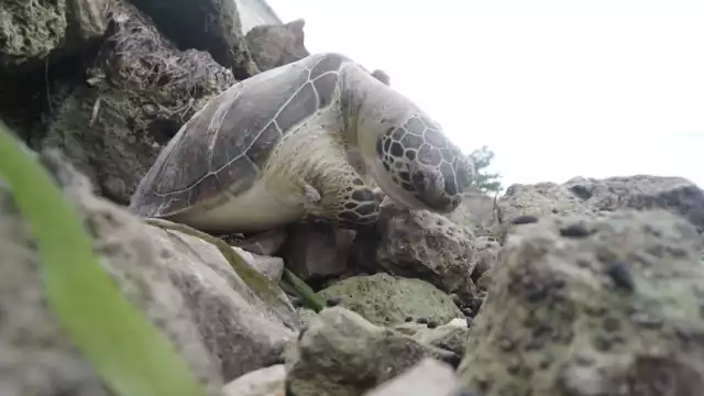 Foto: Lucio Blanco González