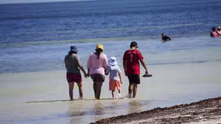 Campechanos disfrutan el último día de puente entre sol y calor en Playa Bonita