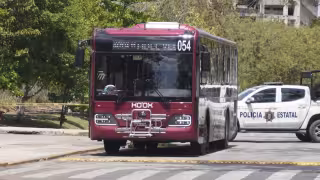 Operador de Ko'ox sobrevive a atropellamiento en Campeche: es dado de alta y descartan muerte cerebral