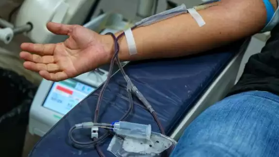 En Campeche existen personas que al observar la desesperación y necesidad de los familiares, ofrecen “donar” a cambio de dinero En Campeche existen personas que al observar la desesperación y necesidad de los familiares, ofrecen “donar” a cambio de dinero