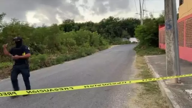Fue hallado en la región 242 de Cancún

