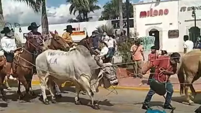 Los cabalgantes exhibieron al bovino con la leyenda “Promesa del H. Ayuntamiento