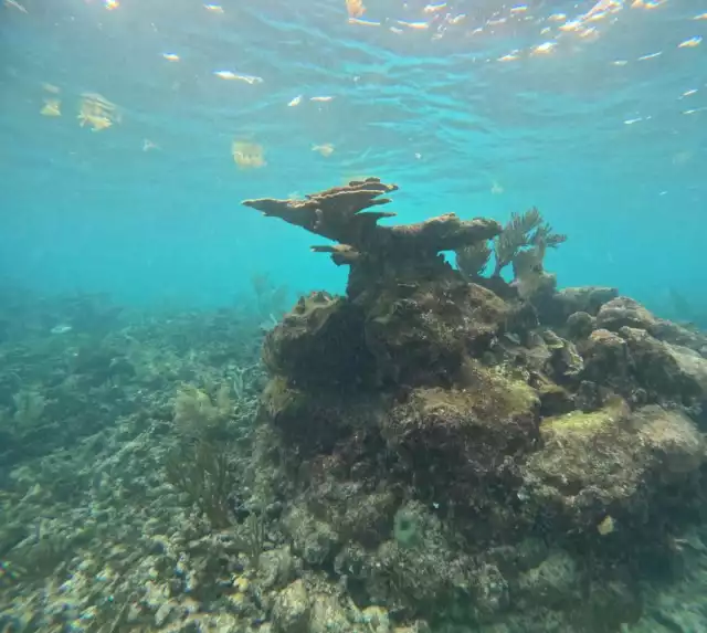 CFE inició trabajos de medición en la franja costera tras la autorización de Semarnat