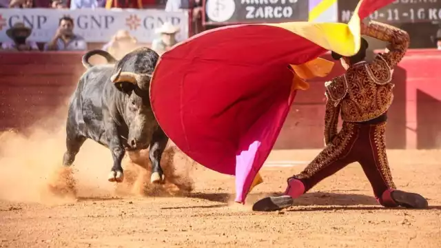 LA Suprema Corte de Justicia de la Nación se pronunció esta noche en contra de las corridas de toros y peleas de gallos