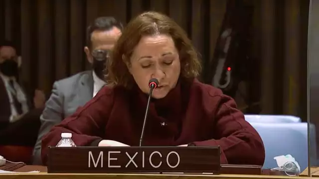 Alicia Buenrostro, embajadora permanente alterna de México ante la Organización de las Naciones Unidas. Foto: Captura de pantalla