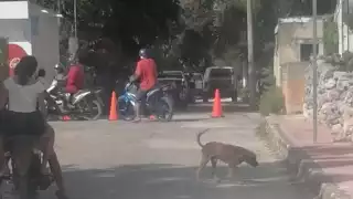 El lugar fue acordonado por las autoridades municipales para el levantamiento del cuerpo